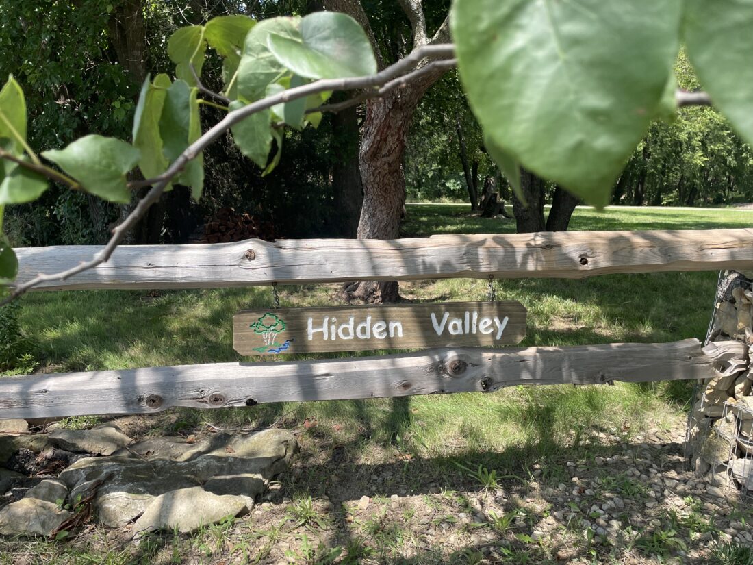 Road construction will tear out vegetation at Hidden Valley Camp, and advocates will need help to restore it